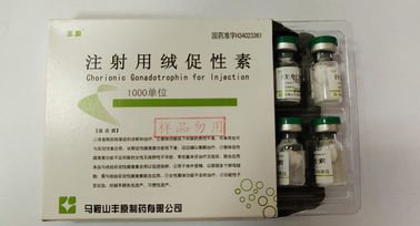 Choriongonadotropin für Einspritzung, HCG, weißes Pulver, USP-Standard